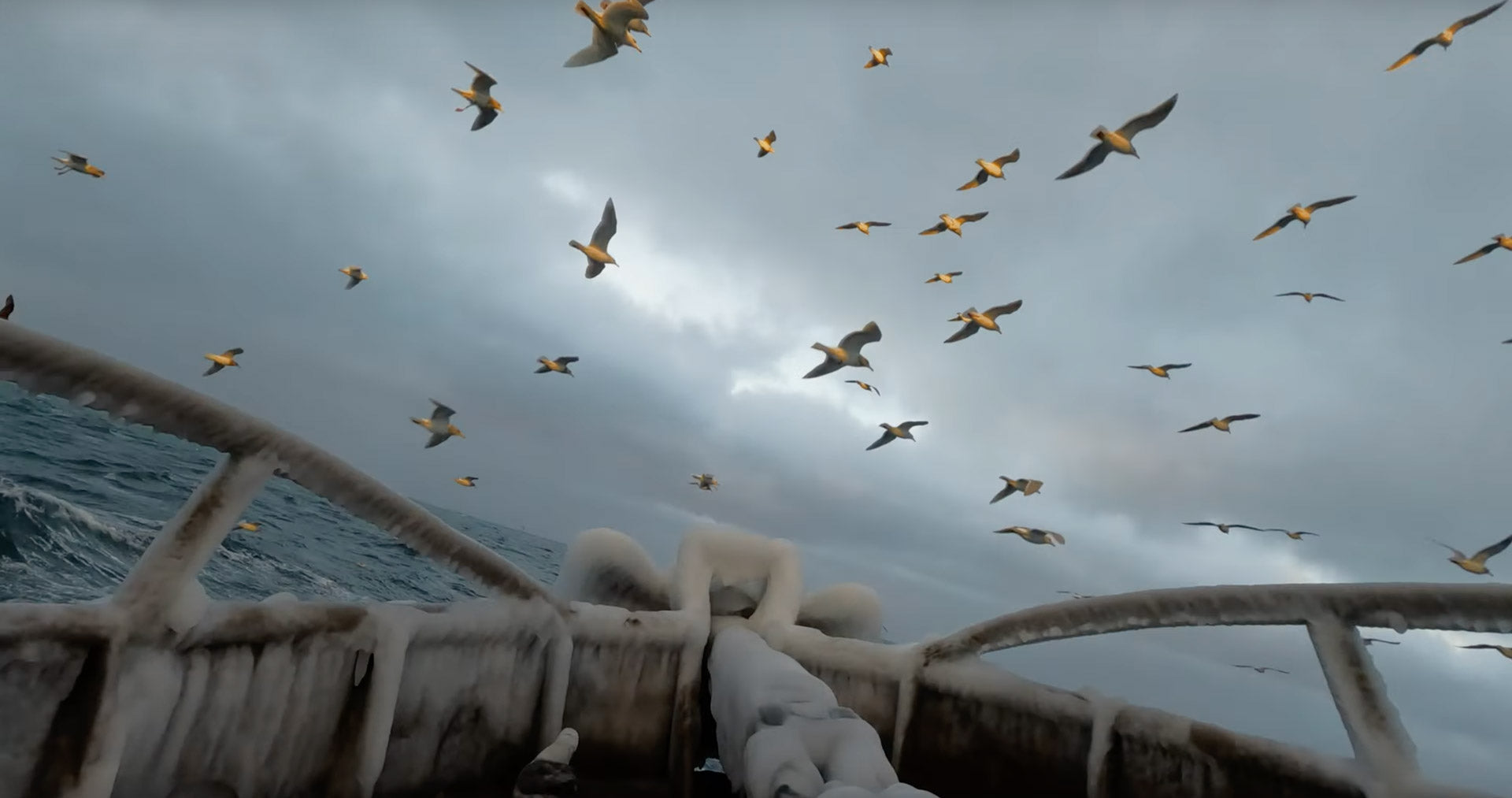 Flock of birds flying over a ship's railing with a cloudy sky.