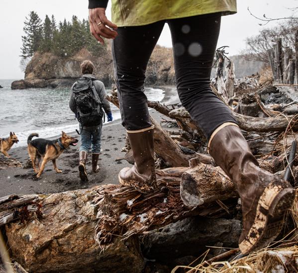 Person walking on a beach with dogs and another person in the background