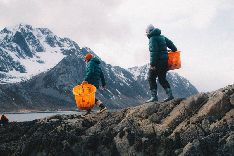 XTRATUF Meets Lofoten Seaweed: Boots Built for the Arctic