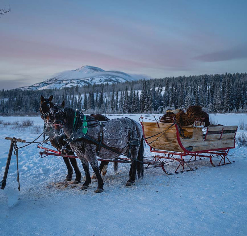 Yukon Sleigh Ride