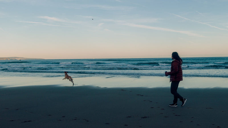 RNLI: ENJOY COASTAL WALKS SAFELY