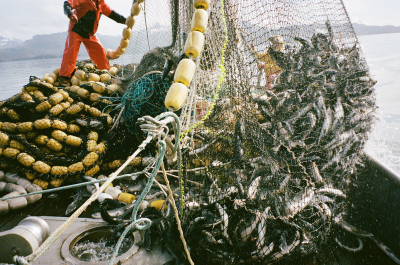 Life in Prince William Sound | Alaska Commercial Fishing