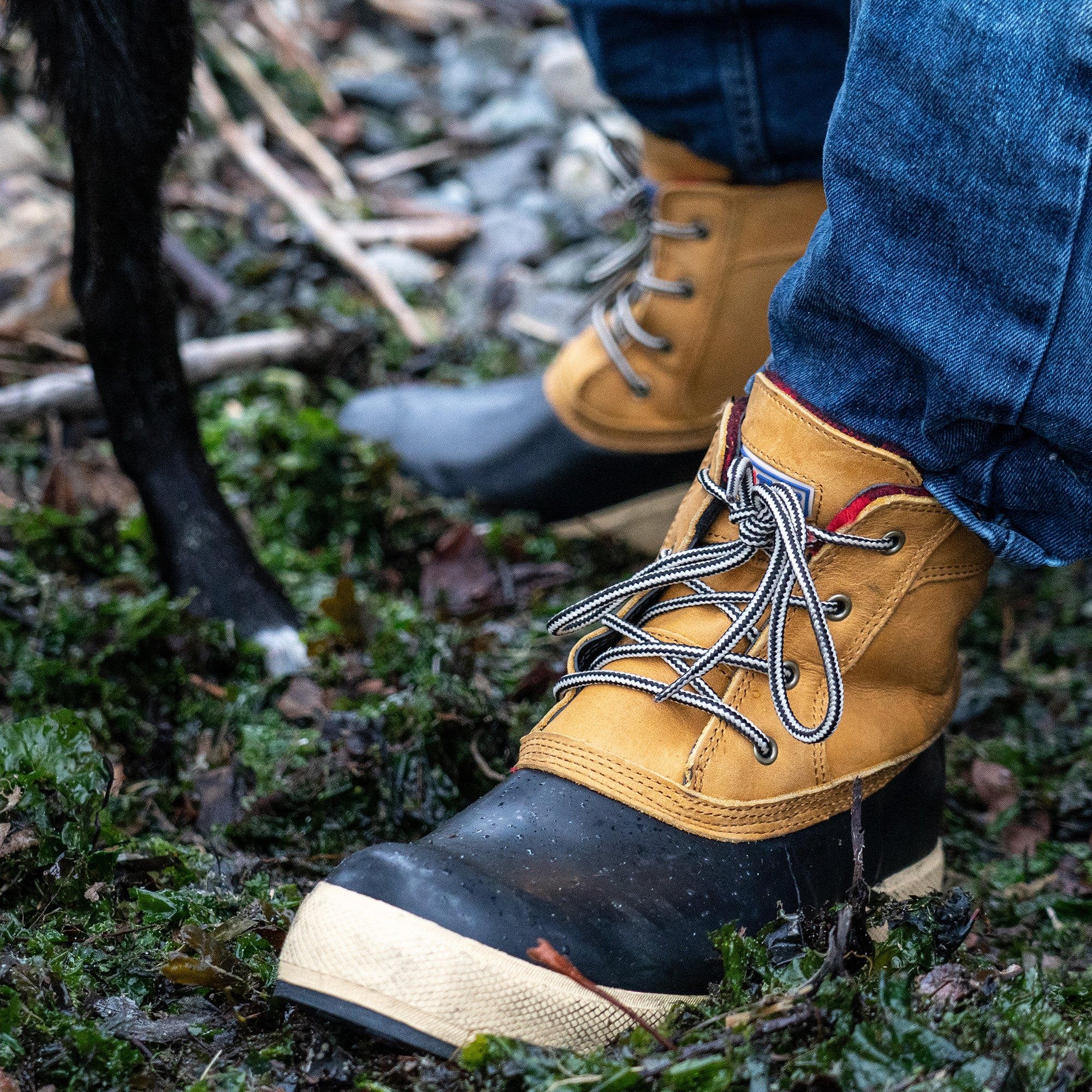 Men's 6 in Legacy Lace Boot